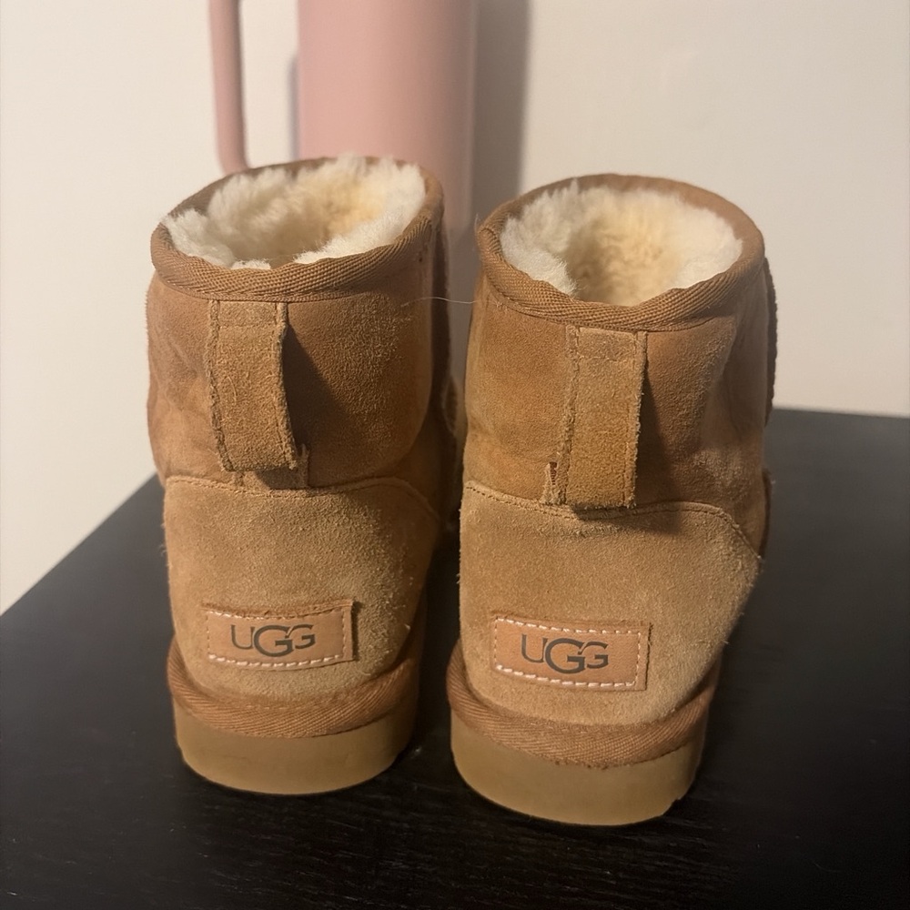 UGG Chestnut Suede Boots